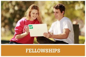 Fellowships