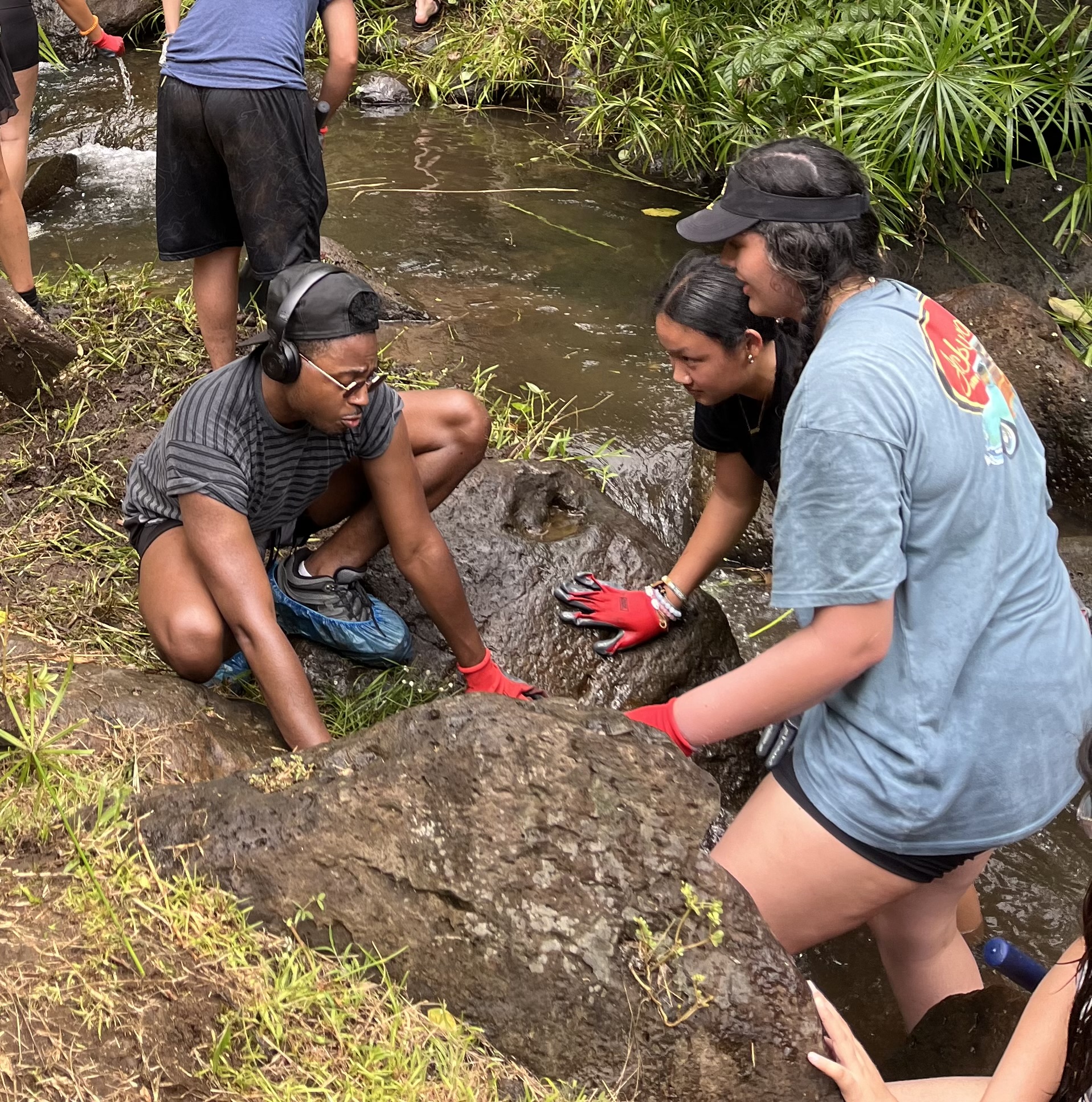 Jalil Hoy, Bree Brasher, and Maia Cicero move boulders out of a stream on ancestral land in Hawaii. |  Ayesha Shaikh/Whittier College