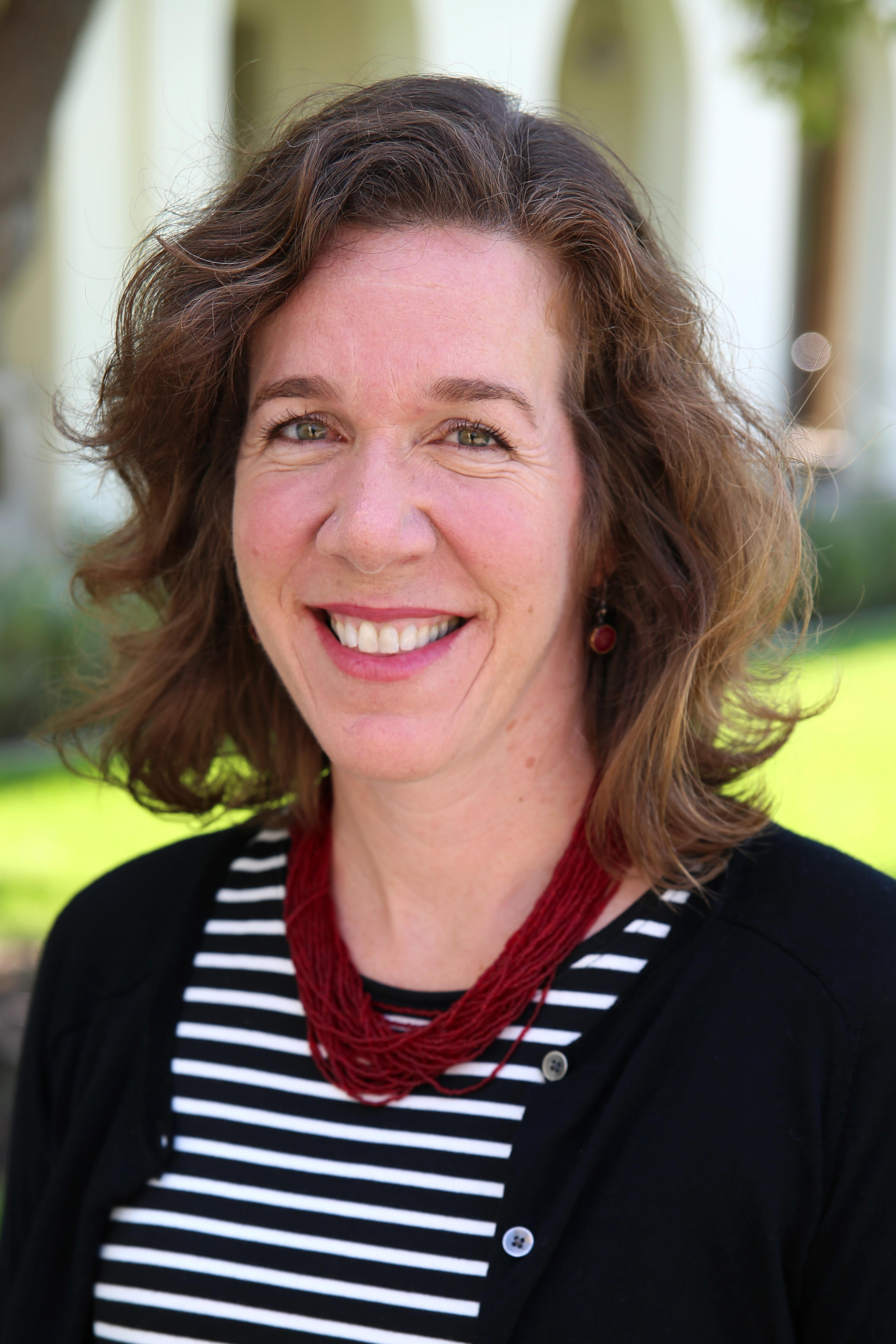 Julie Collins-Dogrul