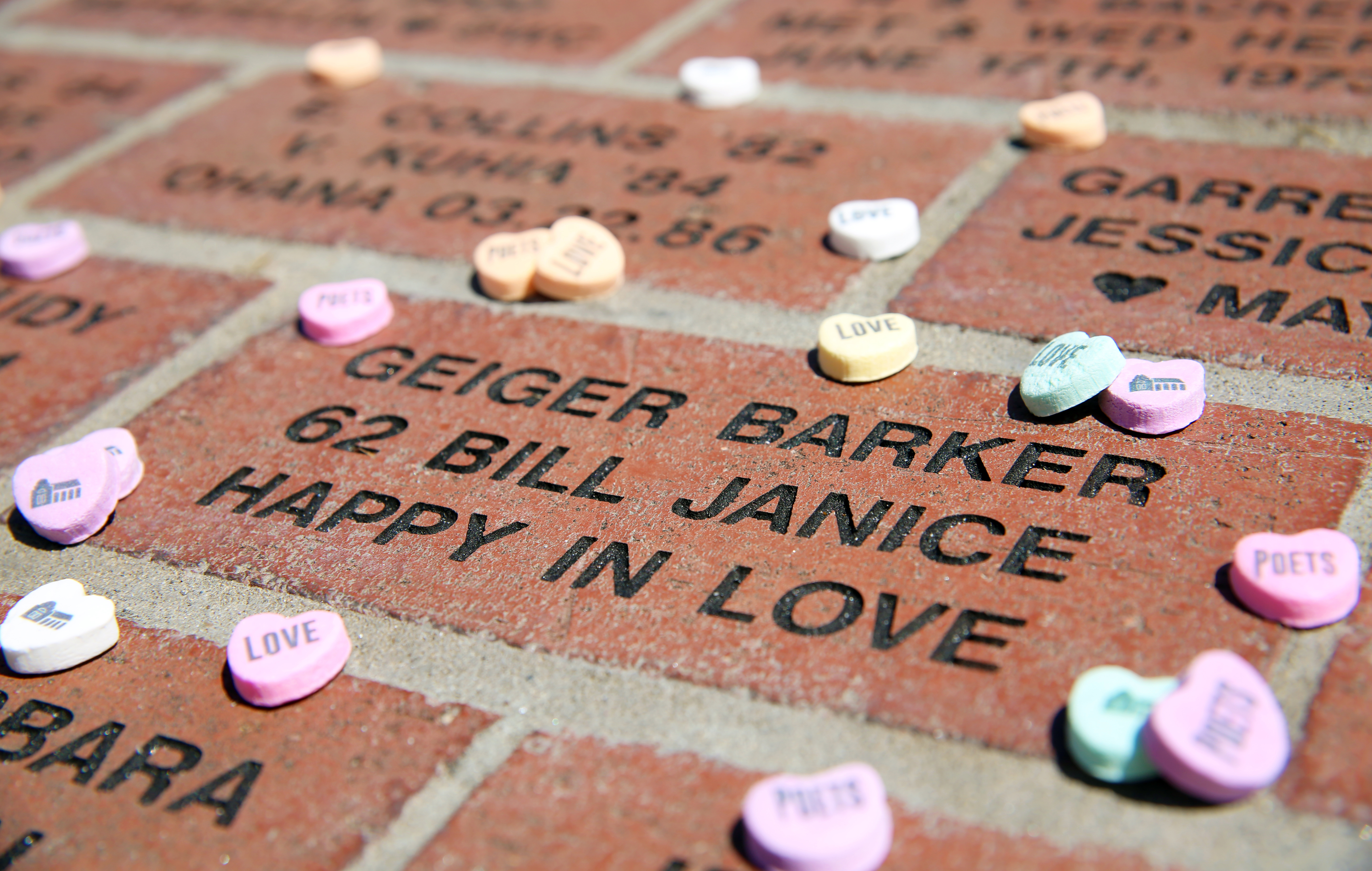 Candy sits on Founders Walkway bricks