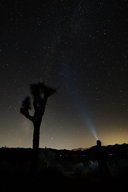 Joshua Tree