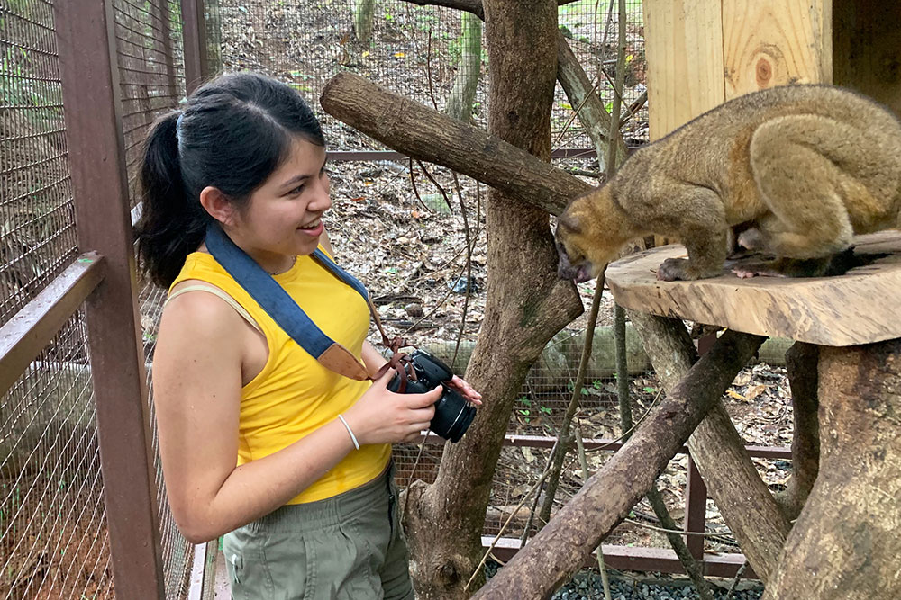 Brianne Estrada looks at a mammal in a sanctuary habitat.