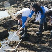 Artemis project students at Cabrillo Marine Aquarium