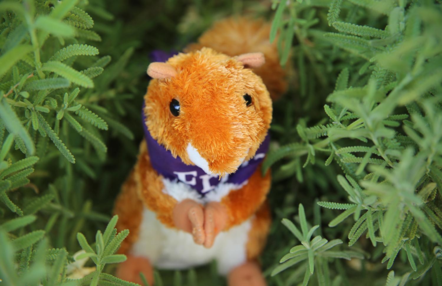 Friday the Squirrel plush