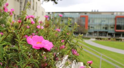 A flower is seen in front of the Science & Learning Center | Whittier College