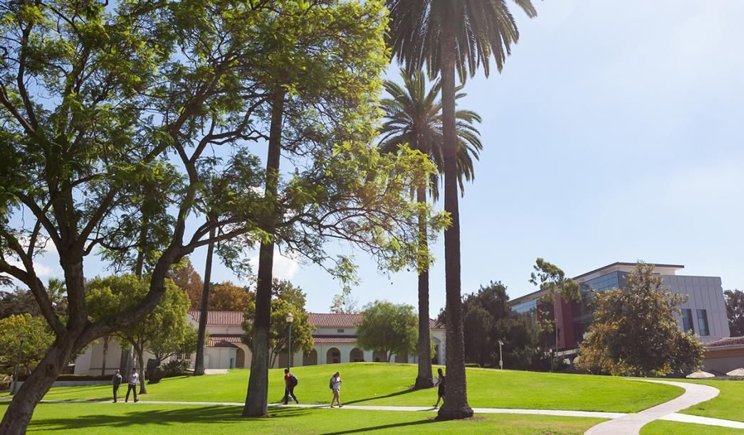 Lower Quad